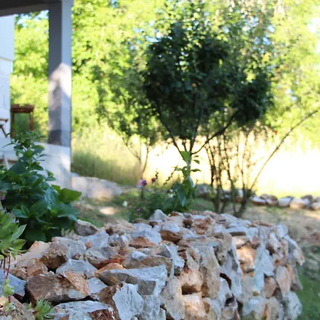 Апартаменты Lila *